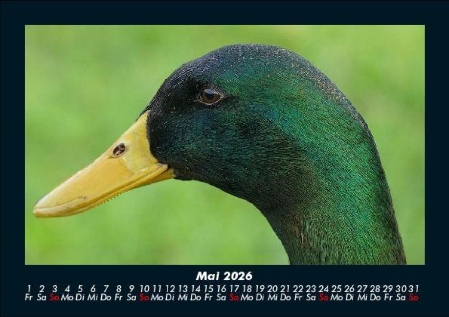 additionalImage9