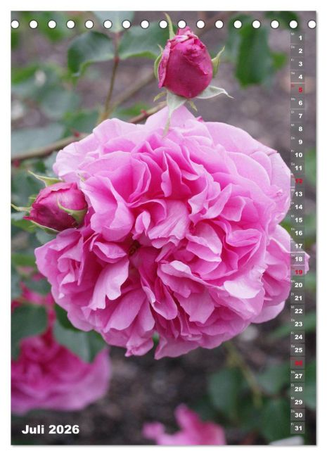 additionalImage12