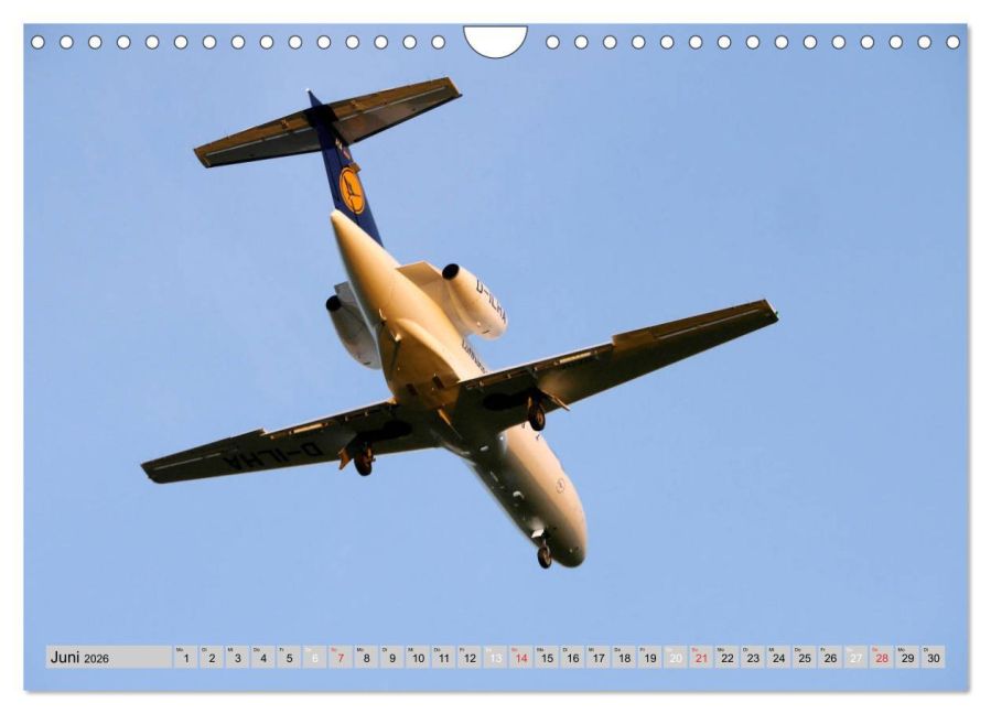 additionalImage11