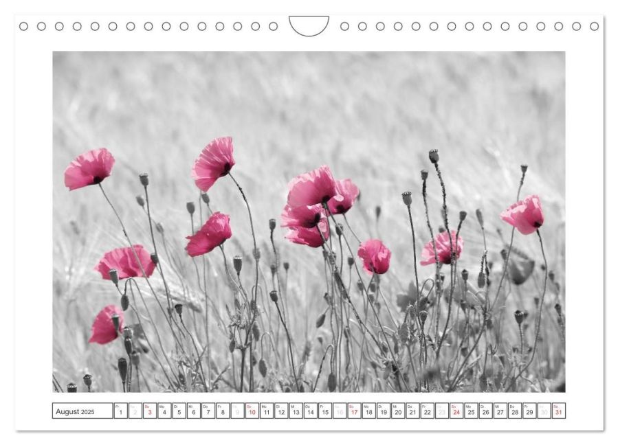 additionalImage13