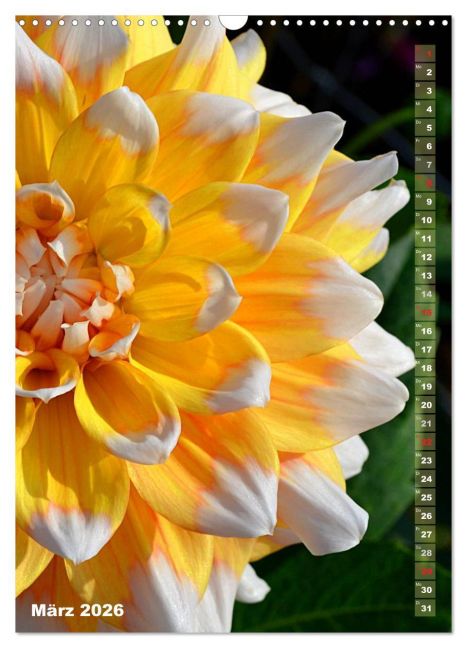 additionalImage8