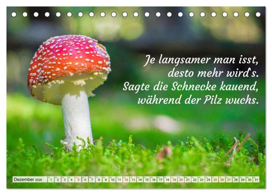 additionalImage4