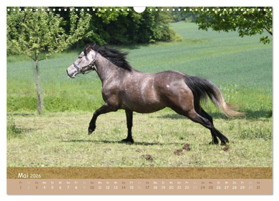 additionalImage10