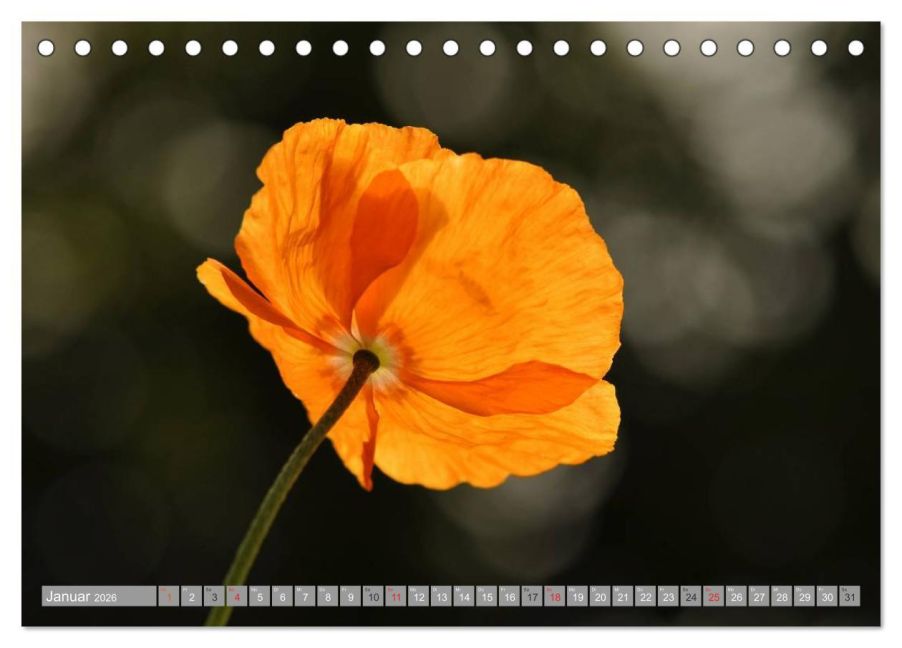 additionalImage6
