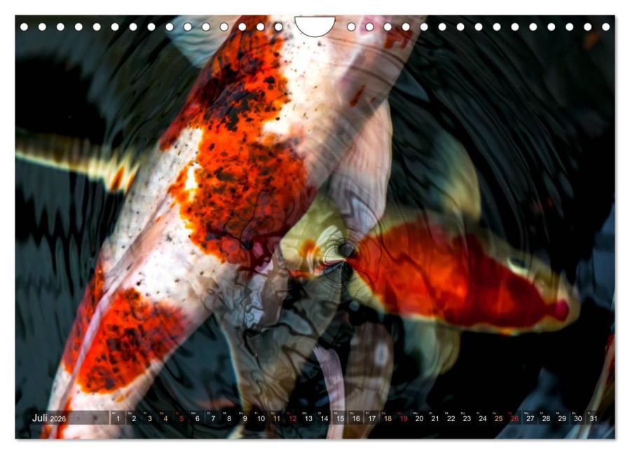 additionalImage12
