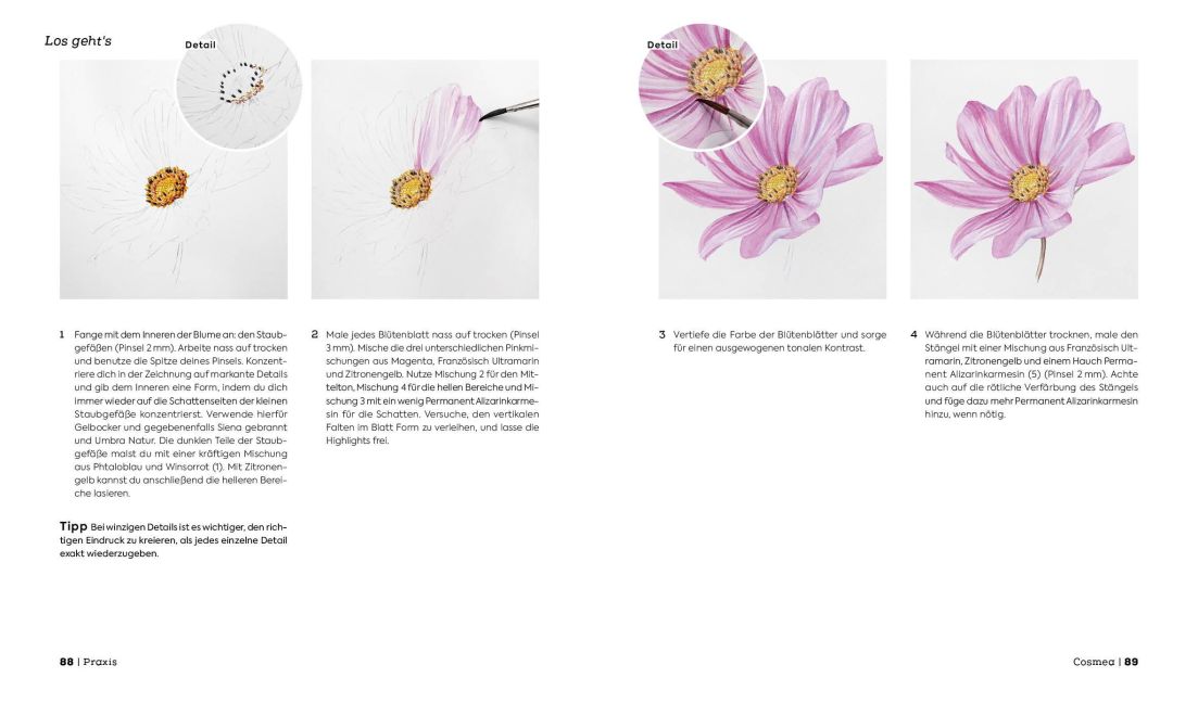 additionalImage7