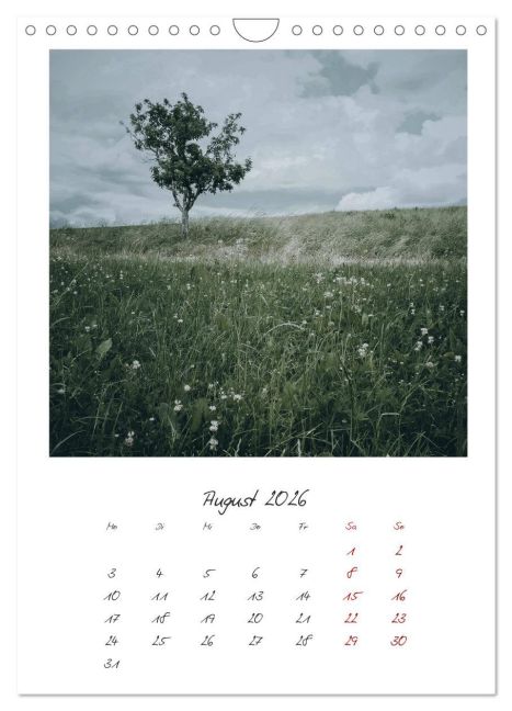 additionalImage13
