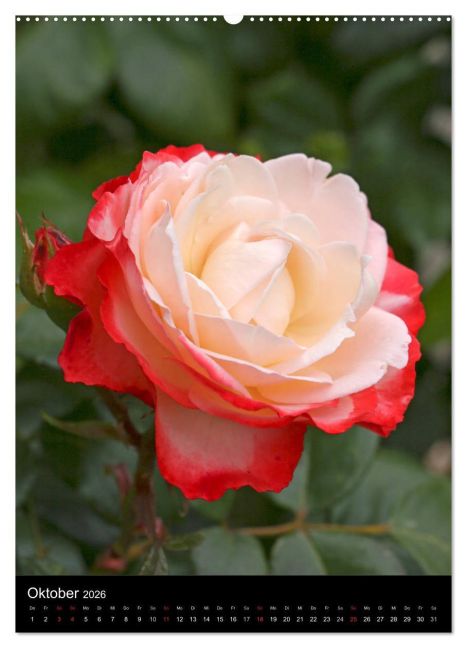 additionalImage1