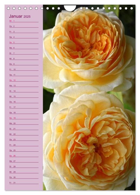 additionalImage6