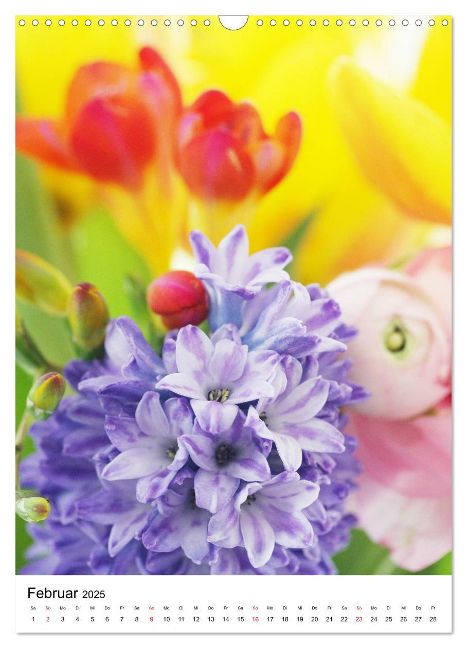 additionalImage7
