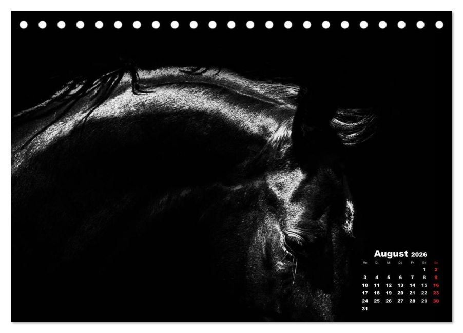 additionalImage13