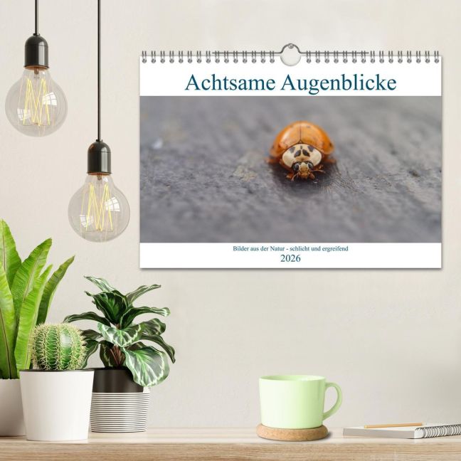 additionalImage1