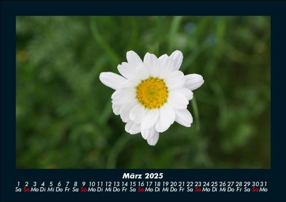 additionalImage7