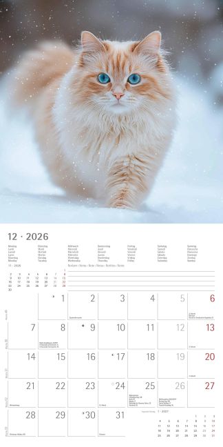 additionalImage13