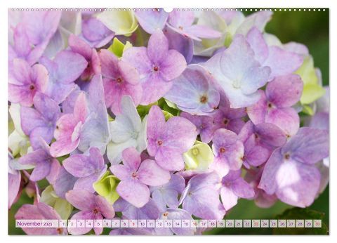 additionalImage3