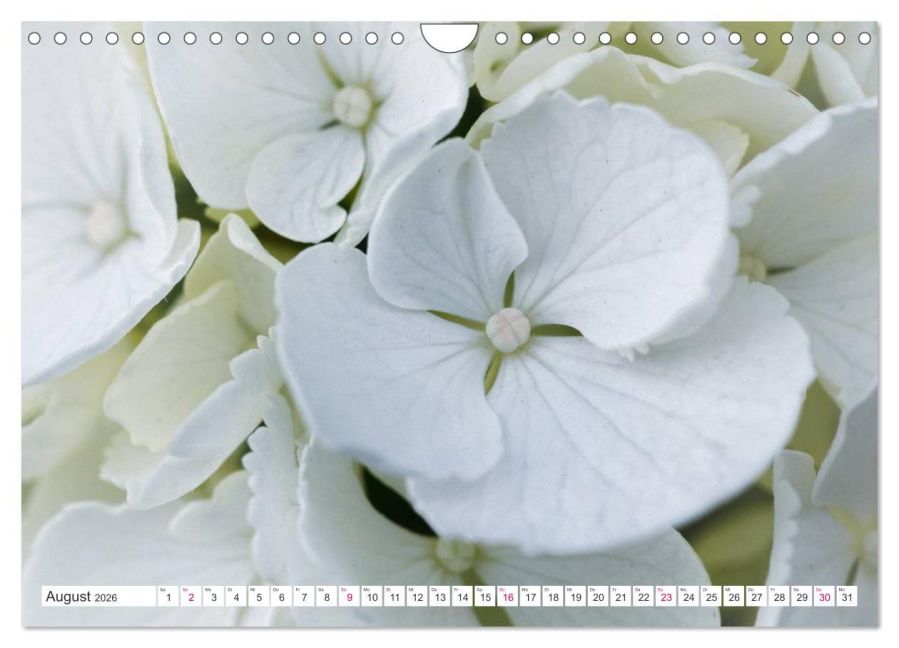 additionalImage13