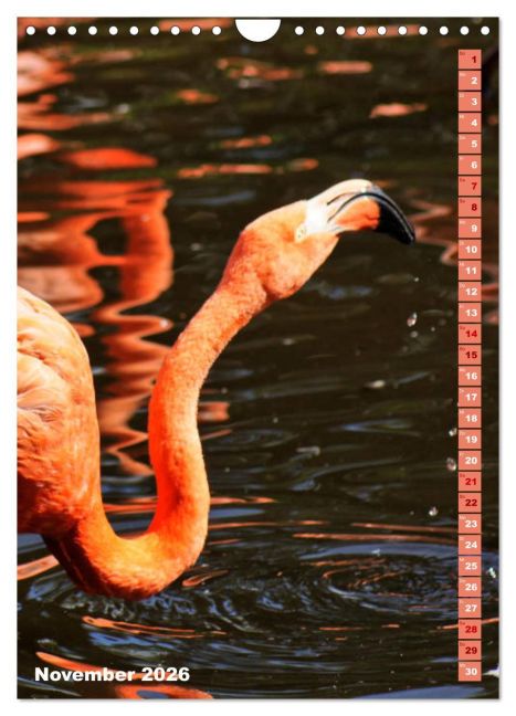 additionalImage3