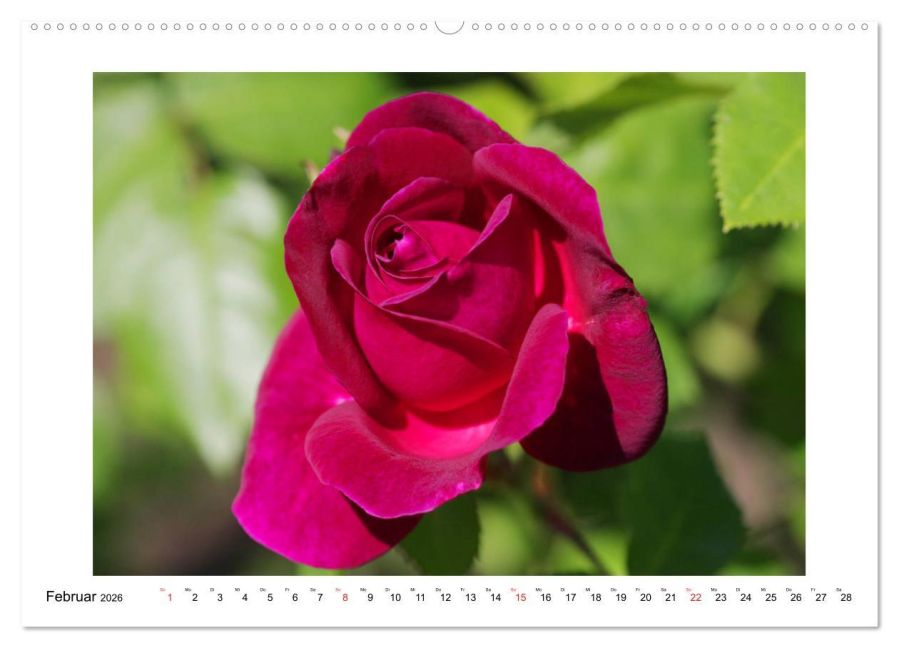 additionalImage6