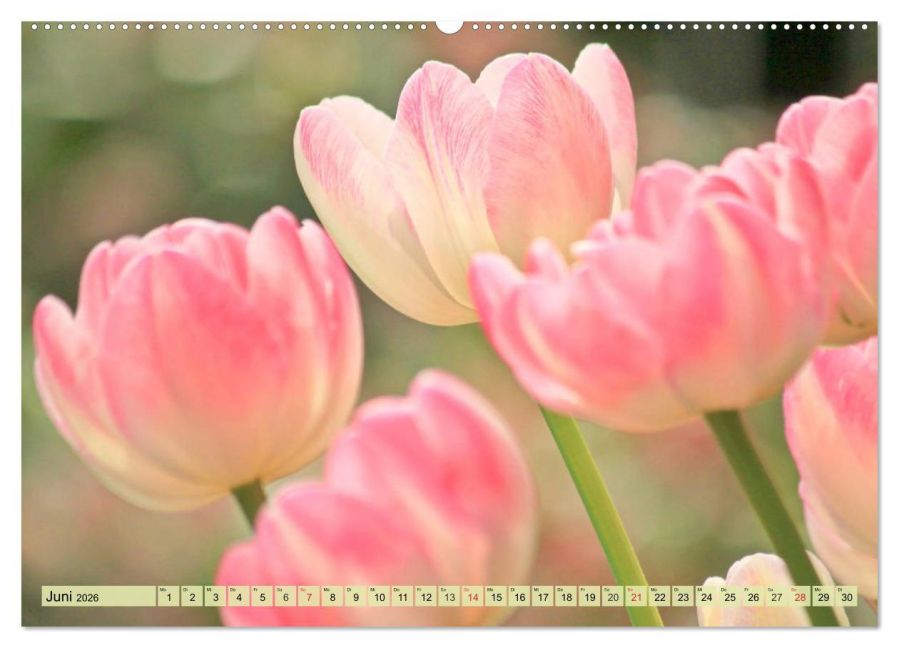 additionalImage10