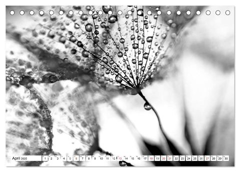additionalImage9