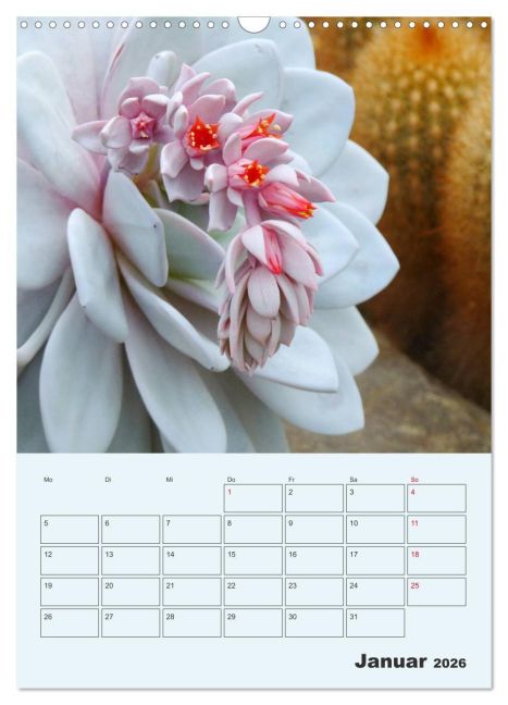 additionalImage6