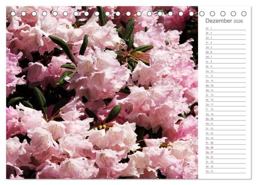 additionalImage4