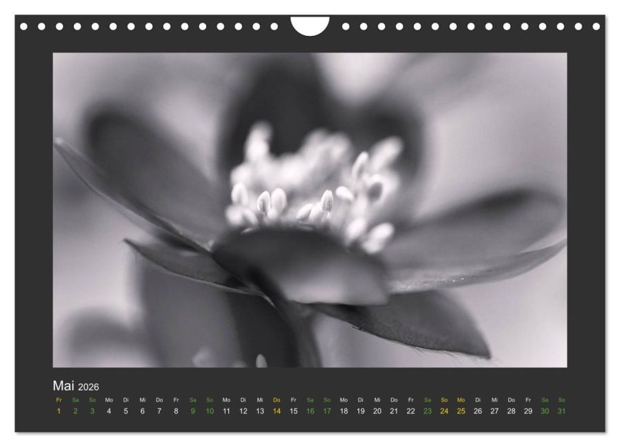 additionalImage10
