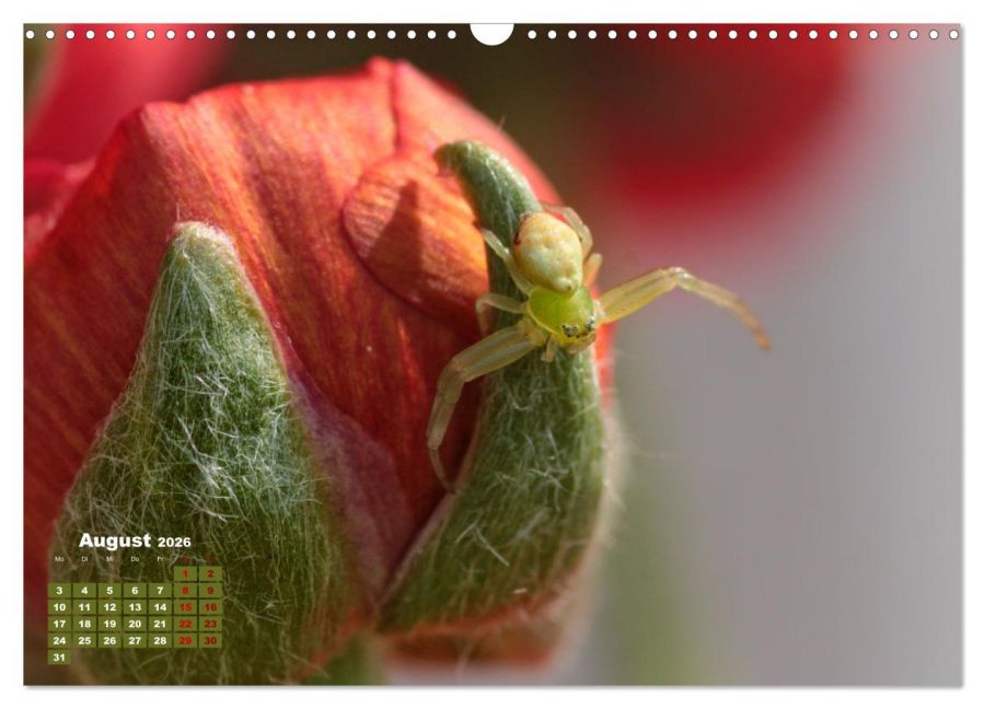 additionalImage13