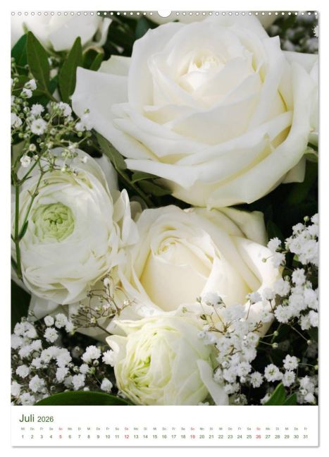 additionalImage11