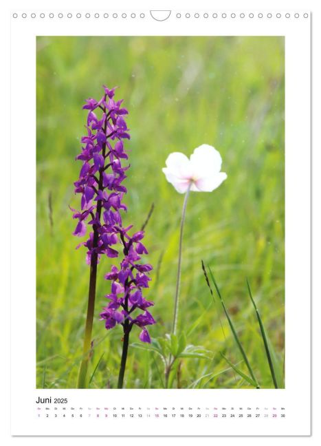 additionalImage11