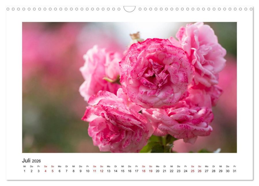 additionalImage12