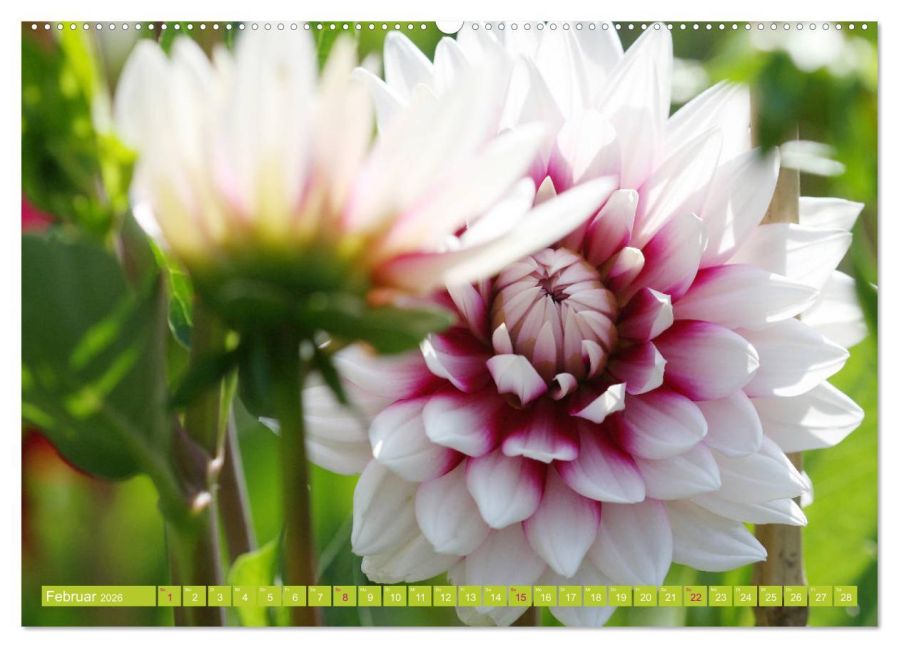 additionalImage6