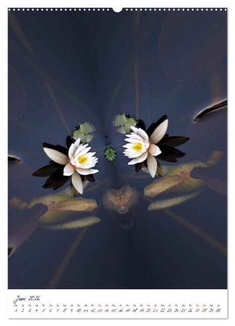 additionalImage10