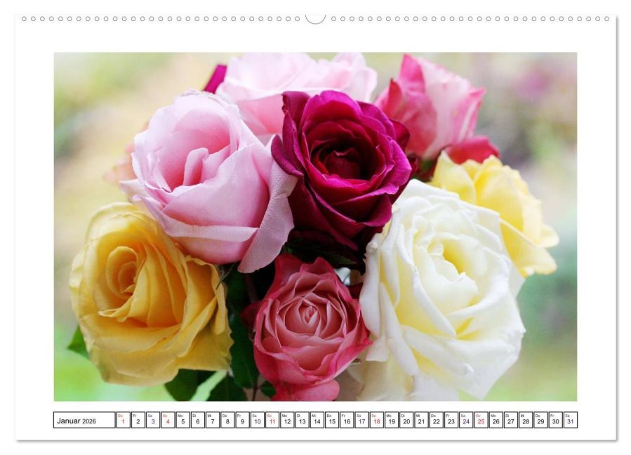 additionalImage6