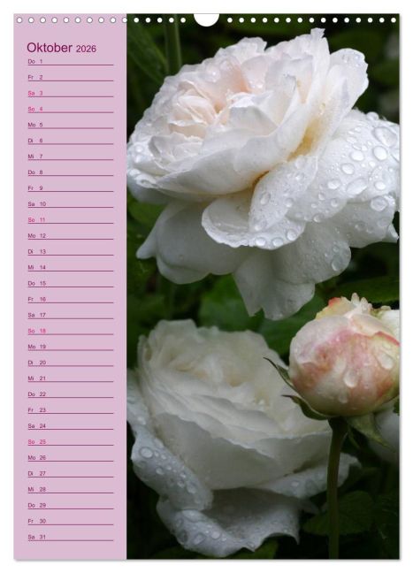 additionalImage2