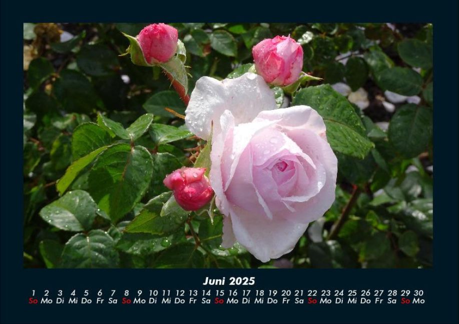 additionalImage10