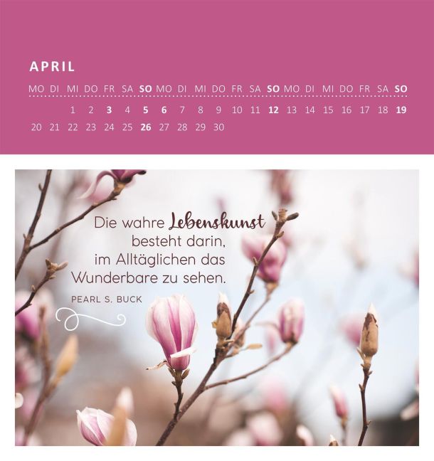 additionalImage3