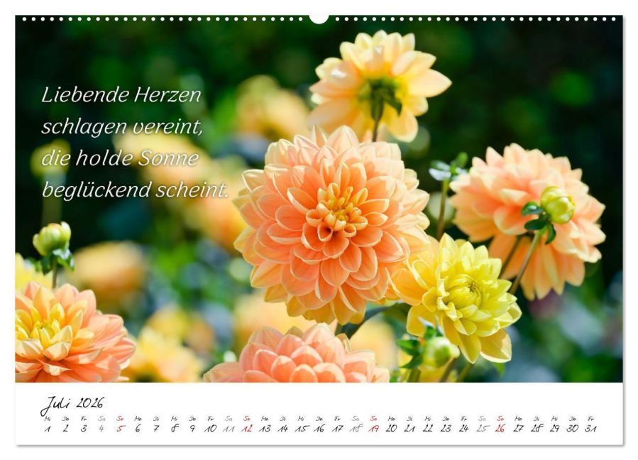 additionalImage12