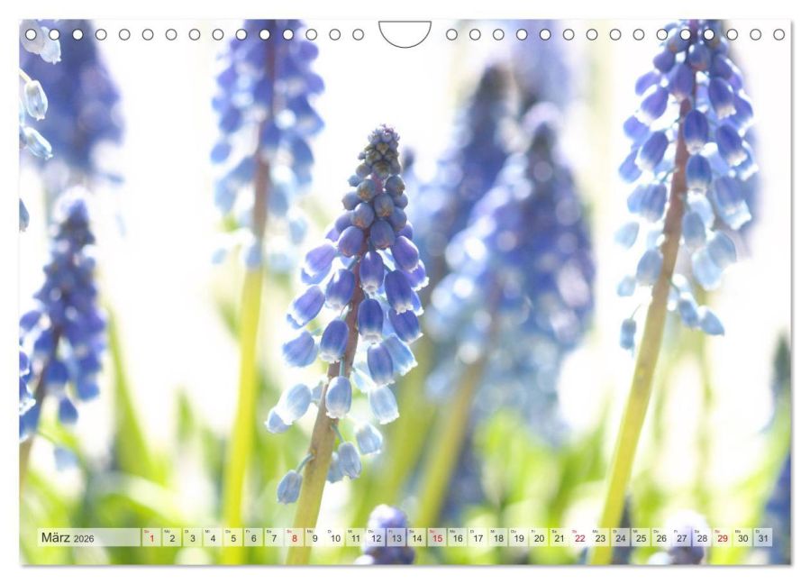 additionalImage8