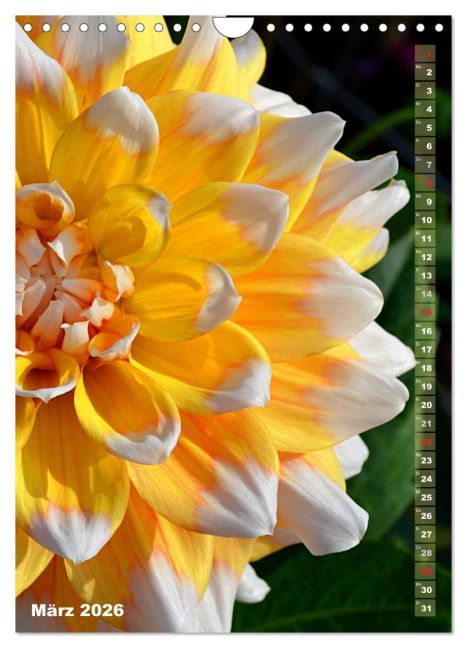 additionalImage8
