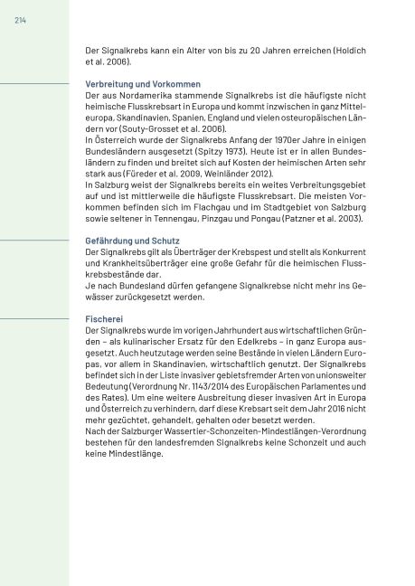 additionalImage13