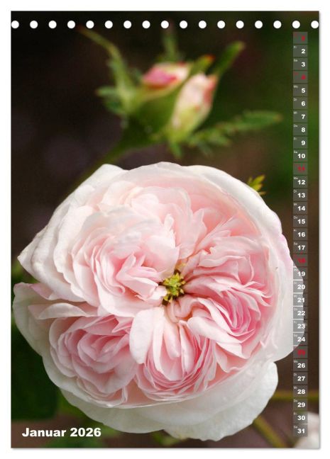 additionalImage6