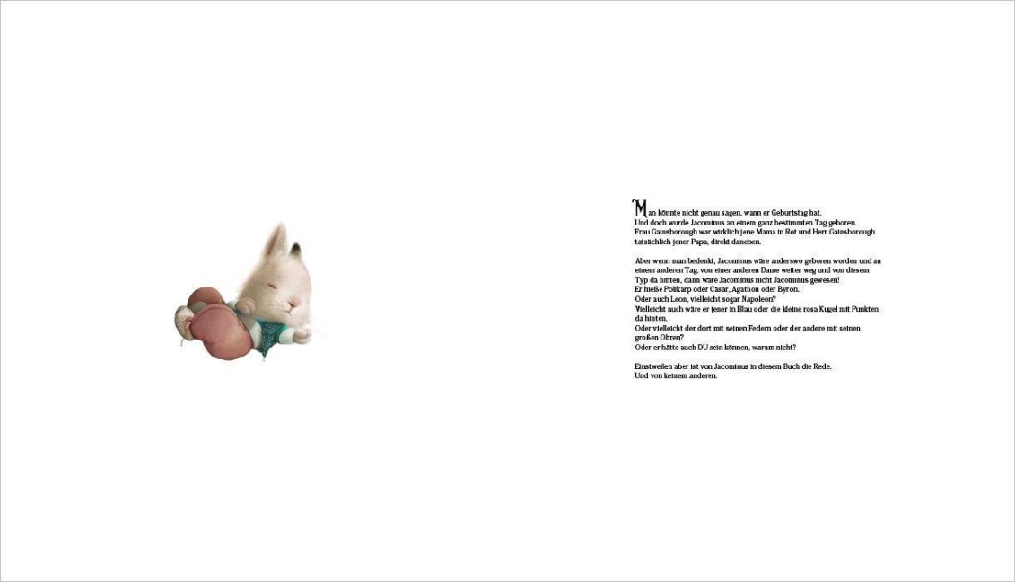 additionalImage2