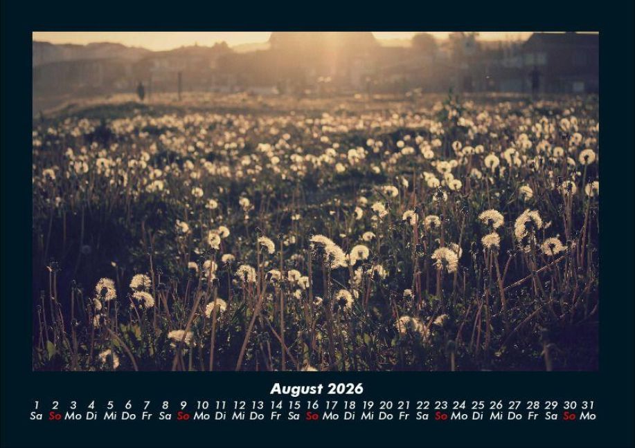 additionalImage12