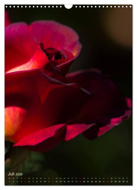 additionalImage12