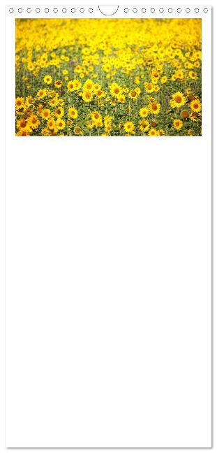 additionalImage14