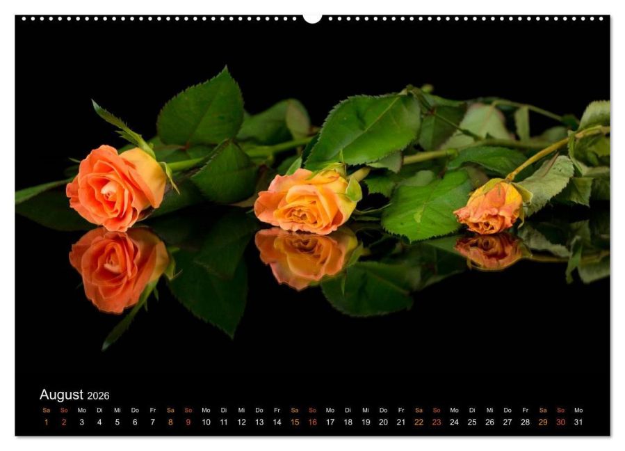 additionalImage13