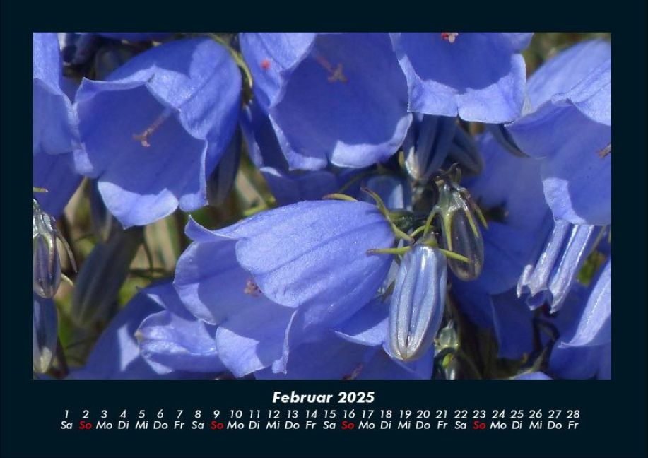 additionalImage6