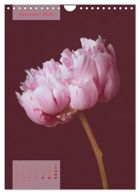 additionalImage4
