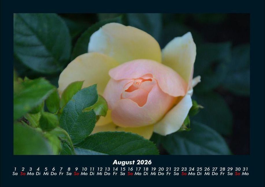 additionalImage12
